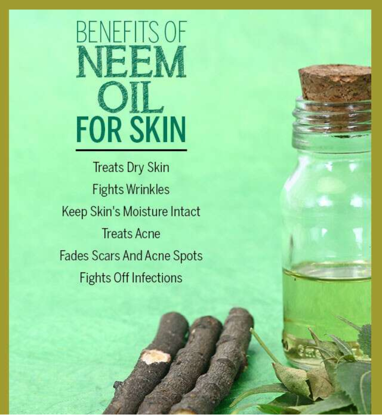 Neem Oil For Skin Is A Beauty Boon - Rinky Kapoor