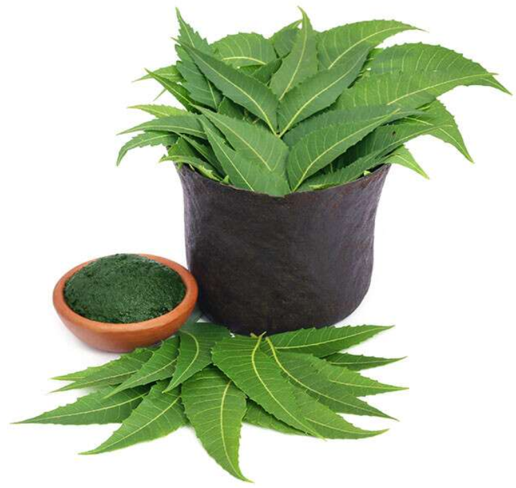 Neem Oil For Skin Is A Beauty Boon