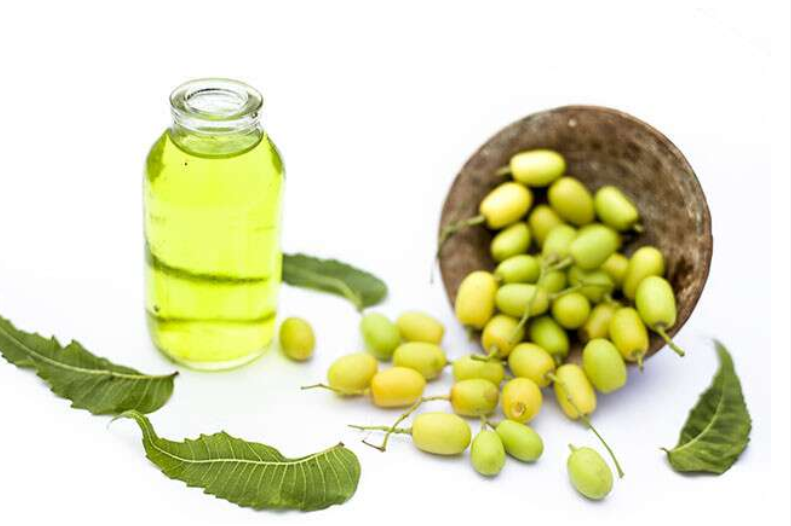 Neem Oil For Skin Is A Beauty Boon